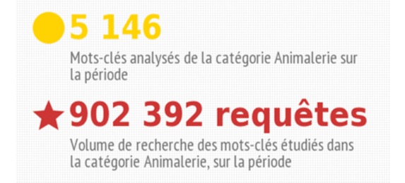 infographie marketplaces animalerie infographie marketplaces animalerie