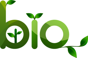 référencement marketplaces produit bio