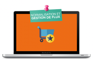 Normalisation flux produits marketplaces