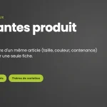 Variantes produit : définition, glossaire Iziflux